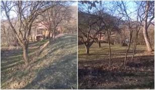 Un bărbat a ajuns la spital cu răni grave, după ce a fost atacat de urs. Cu ultimele puteri s-a adăpostit în casă, unde a leşinat