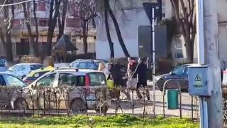 Taximetrist din Botoşani, luat la bătaie doi pietoni. Cei doi, tată şi fiu, supăraţi că şoferul nu le-a dat prioritate într-un loc interzis