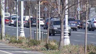 Lipsa plafonării pe piaţa asigurărilor îi obligă pe şoferi să caute soluţii pentru a plăti mai puţin. Trucuri pentru o poliţă RCA mai ieftină