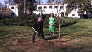 Arhiepiscopul de Cantebury, vizită la București. Liderul Bisericii Anglicane s-a întâlnit cu principesa Margareta și a vizitat un centru de refugiaţi ucraineni