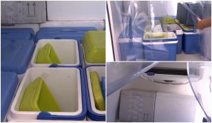 România are o singură autospecială pentru transport sânge. Maşina poate ajunge acum în toate colţurile ţării, reducând timpii de aşteptare pentru pacienţi