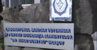 Percheziții în mai multe județe, într-un dosar privind gripa aviară. Sunt acuzaţii de mită şi uciderea fără drept a animalelor