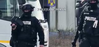 33 de cai, salvaţi de poliţişti dintr-un abator din Braşov. Animalele urmau să fie sacrificate, iar carnea exportată în Italia