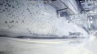 Momentul dramatic în care un bărbat din Timişoara e "agăţat" de tramvai şi tras sub roţi