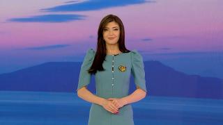 Observator de bine, 22 martie 2023. Preţurile poliţelor RCA vor reveni la nivelul din martie 2022