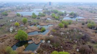 Zonele din Bucureşti care ar urma să devină adevărate colţuri de rai. Gură de aer pentru oraşul sufocat: "E tot ce trebuie ca să te simţi bine"