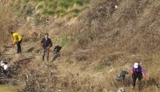 Acţiune de ecologizare pe malul Bistriţei: angajaţii primăriei au lăsat dosarele şi au pus mâna pe sacii de gunoi