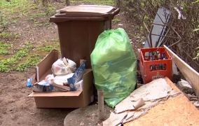 Curăţenia în faţa blocului, o "provocare" pentru români. Care e amenda pentru cei care aşteaptă să facă altcineva treaba în locul lor