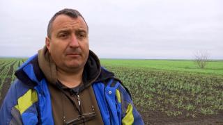 Cultura pentru care fermierii primesc 3.000 de euro la fiecare hectar plantat. Profitul, aproape instant: "Piaţa cere mult"