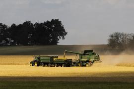 România ar putea reintroduce taxele pe cerealele ucrainene. Țările din estul Europei iau măsuri pentru a controla exporturile din Ucraina