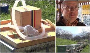 Terapia oferită de Nicu Dincă aduce la Hondol, în estul Apusenilor, oameni din toată lumea: "Acum e perioada benefică de inhalare"