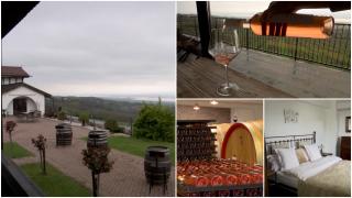Oraşul din România în care se prepară vinuri ca în Toscana. Cât costă o noapte de cazare pentru două persoane la o cramă cu tradiţie