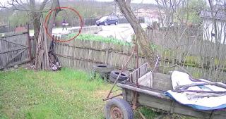 Tragedie filmată în a doua zi de Paște. O fetiță de 10 ani a fost spulberată în timp ce traversa o șosea din Vâlcea. Copila a murit pe loc