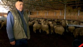 Cine i-a salvat afacerea lui Ion Cherciu, unul dintre cei mai mari fermieri. Îi cumpără kilogramul cu preţ aproape dublu de câţiva ani