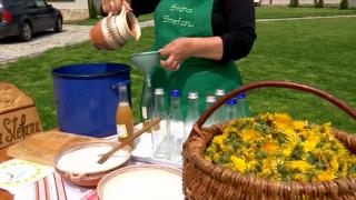 Ce efecte benefice are siropul de păpădie asupra organismului