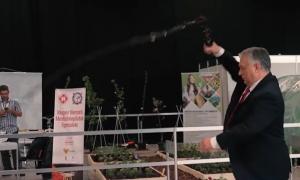 "Motivul pentru care nu te pui cu ungurii". Viktor Orban, viral pe Twitter cu un clip în care pocneşte din bici