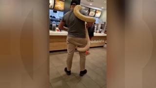Clipul publicat pe TikTok de bărbatul care a mers cu pitonul la McDonald's, "văzut" şi de poliţişti. Amenda poate ajunge la 60.000 de lei