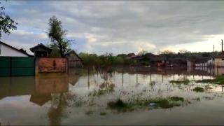 "A rupt satul în două". Zeci de gospodării din Caraş-Severin au fost inundate în urma ploilor torenţiale. De frică, oamenii şi-au urcat animalele în pod