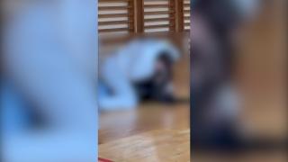 Bătaie în toată regula între două fete de 14 ani, la un liceu din Târgu-Jiu. Conflictul a început la ora de sport