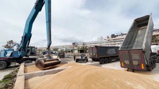 Vești bune pentru fermierii români. UE acordă ajutoare și reglementează tranzitul cerealelor din Ucraina