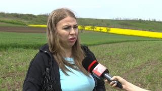 Cultura pentru care se primește subvenție de 3.000 de euro la hectar. Românii sunt înnebuniți după gust