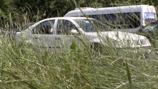 Marile oraşe ale României s-au transformat în veritabile jungle urbane. Angajaţii primăriilor dau vina pe ploile din ultima perioadă