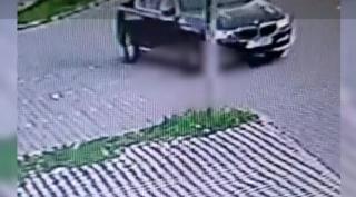 Căţel ucis cu cruzime într-o parcare din Argeş. Animalul a fost strivit sub roţile maşinii unui individ