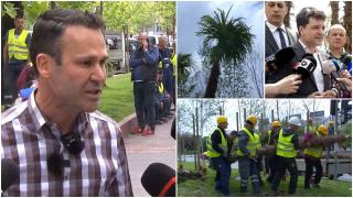 Războiul palmierilor. Furios că Nicuşor Dan i-a smuls palmierii, Negoiţă acuză: "Eu nu l-am văzut să planteze măcar o păpădie"