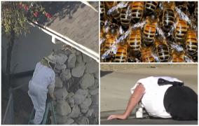 Ziua în care un roi de albine a făcut legea într-un cartier din LA. Sute de insecte s-au năpustit ca un "nor letal" peste oamenii îngroziţi