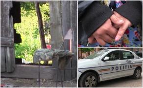 O mamă adolescentă din Dolj și-a aruncat băiețelul de 7 luni mort, apoi l-a dat dispărut. Ce a stabilit autopsia bebelușului