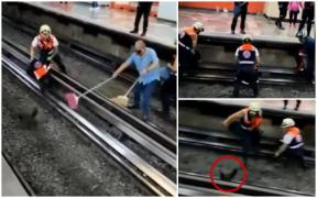 Metroul din Ciudad de Mexico, blocat de o găină. Primăriţa crede că e un act de sabotaj: a mai fost blocat de o mașină de spălat, un cățel, o cârjă
