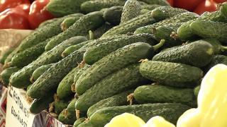 "Avem de suferit pe baza minciunilor". Producătorii locali din Buzău, nevoiţi să îşi arunce marfa în urma scandalului legumelor toxice. Ce spun autorităţile