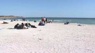 Birocrația ucide afacerile pe litoral. Fără beach-baruri la început de sezon estival. Licitațiile au venit prea târziu, iar autorizațile se obțin și după 30 de zile