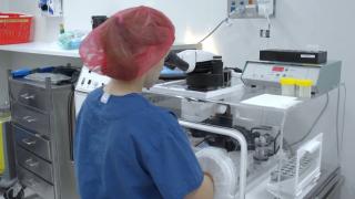 Ţara în care cercetătorii sunt tot mai aproape să creeze copii în laborator. Testele pe şoareci au fost un succes, iar metoda ar putea fi aplicată în 5 ani