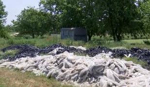 Culturi de plastic. Tone de folii rămân în fiecare primăvară îngropate în pământ: oamenii nu au unde să le recicleze. Reacţia ministrului Petre Daea