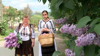 Ce afecțiuni poate trata floarea de liliac. Proprietăţi miraculoase pentru sănătate