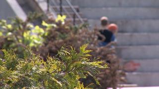 Ce se poate ascunde în spatele energiei debordante a unui copil? Semnele care ar trebui să îi îngrijoreze pe părinți