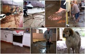 "Mai mult decât o apocalipsă". Potopul căzut din cer a făcut prăpăd în vestul țării. Casele s-au umplut de apă și nămol, iar pe străzi mașinile au fost luate pe sus