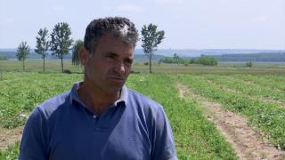 Ideea inspirată prin care un fermier şi-a salvat cultura, în timp ce vecinii şi-au văzut munca distrusă. "N-am pățit așa ceva până acum"