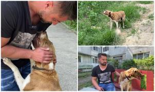 Legătura dincolo de cuvinte dintre Petrişor şi căţeluşa Bella, pe care a găsit-o jelindu-şi puiul mort. "Nu te abandonez! Vin înapoi!"