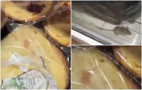 Șoarece, "scos la vânzare" printre produse de panificație în Mediaș. Și gândacii vin la pachet