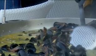 Turiştii veniţi pe litoral, aşteptaţi cu meniuri alese. Cum arată şi cât costă o cină perfectă pe malul mării