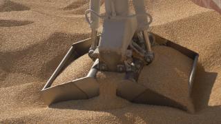 UE menţine interdicția pentru importurile de grâu și cereale din Ucraina. Termenul a fost prelungit până la jumătatea lui septembrie