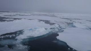 Siberia "se topeşte". Au fost înregistrate temperaturi de aproape 40 de grade în regiune