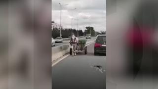 Cu căruța pe contrasens, pe Centura Oradea. Rupt de beat, căruțașul a fost oprit înainte să provoace o tragedie