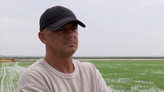 Fermierul român care a investit milioane de euro într-o cultură abandonată de mulţi. S-a întors în ţară după ce a studiat-o timp de 18 ani, în Spania