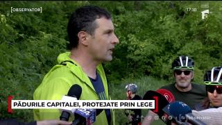 Pădurile din apropierea Capitalei ar putea fi protejate prin lege