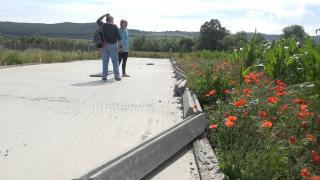 Visul unei femei din Alba de a ajuta câinii, ruinat peste noapte. Hoții au furat gardul adăpostului pe care îl construia din donații