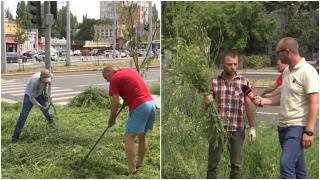 Operaţiunea "buchet pentru primar". Gălăţenii şi-au dat întâlnire pe Facebook ca să facă treaba primăriei: au pus mâna pe coasă şi au înlăturat buruienile