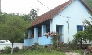 Viaţa la ţară. O gospodărie bătrânească din Deva, loc de relaxare pentru prichindeii care vor să trăiască o experienţă inedită